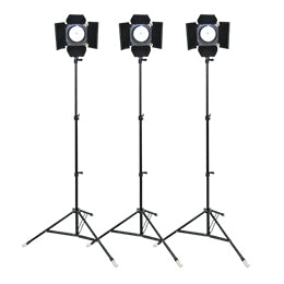 LPL/RDS 500w×3灯ライト